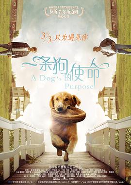 在客厅做瑜伽的小姨子